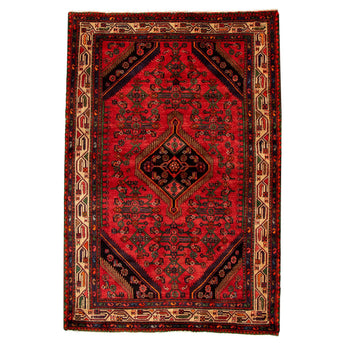 4' 8" x 6' 11" (05x07) Iranian Hamadan Wool Rug #013233