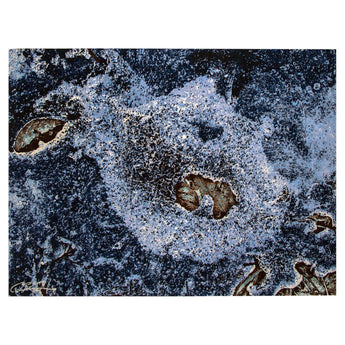 9' 0" x 11' 11" (09x12) Brian Orner Collection Ice Over Leaves (1 of 19) Wool Rug #013369