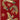 3' 2" x 2' 2" India Agra Koi Fish 2x3 Red Wool Area Rug #014822