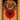 4' 0" x 6' 1" Reynard 31 #012794